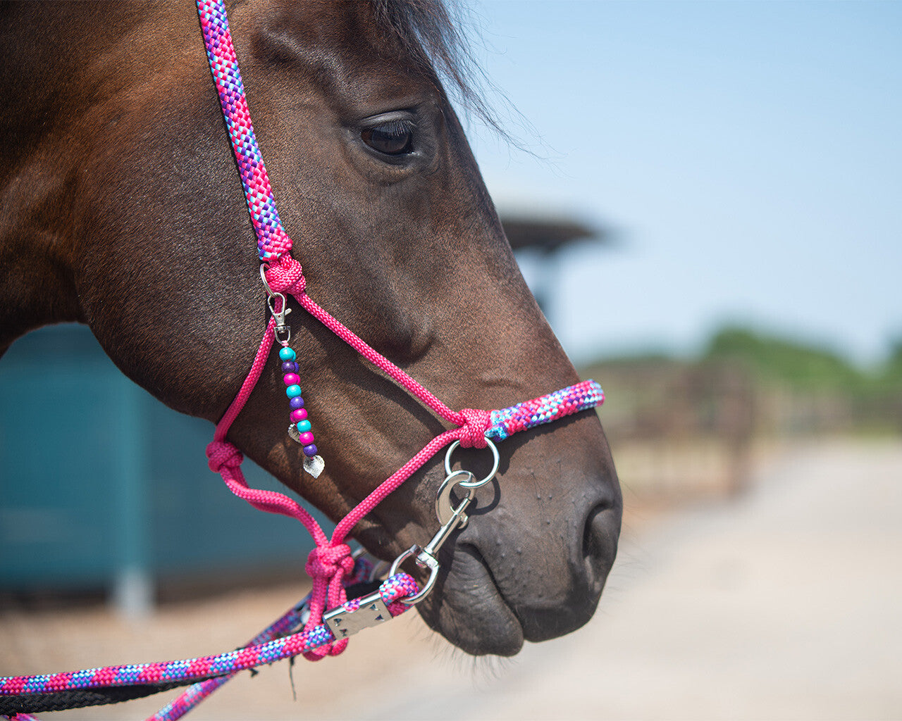 NEW - Rope Halter combi Liberty