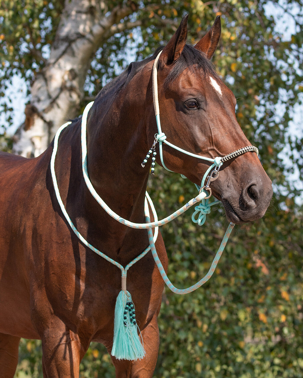 NEW - Rope Halter combi Liberty