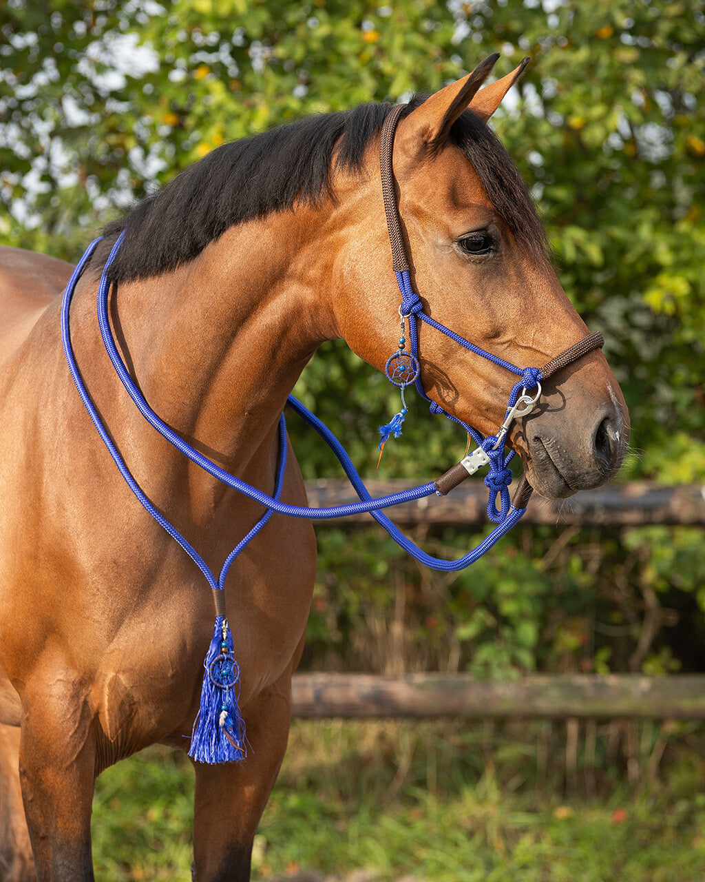 NEW - Rope Halter combi Liberty