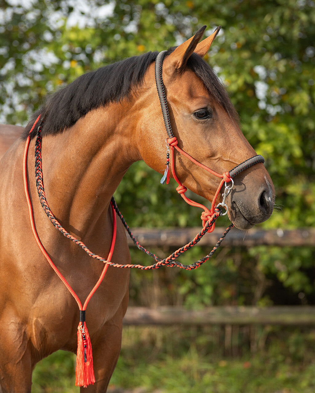 NEW - Rope Halter combi Liberty