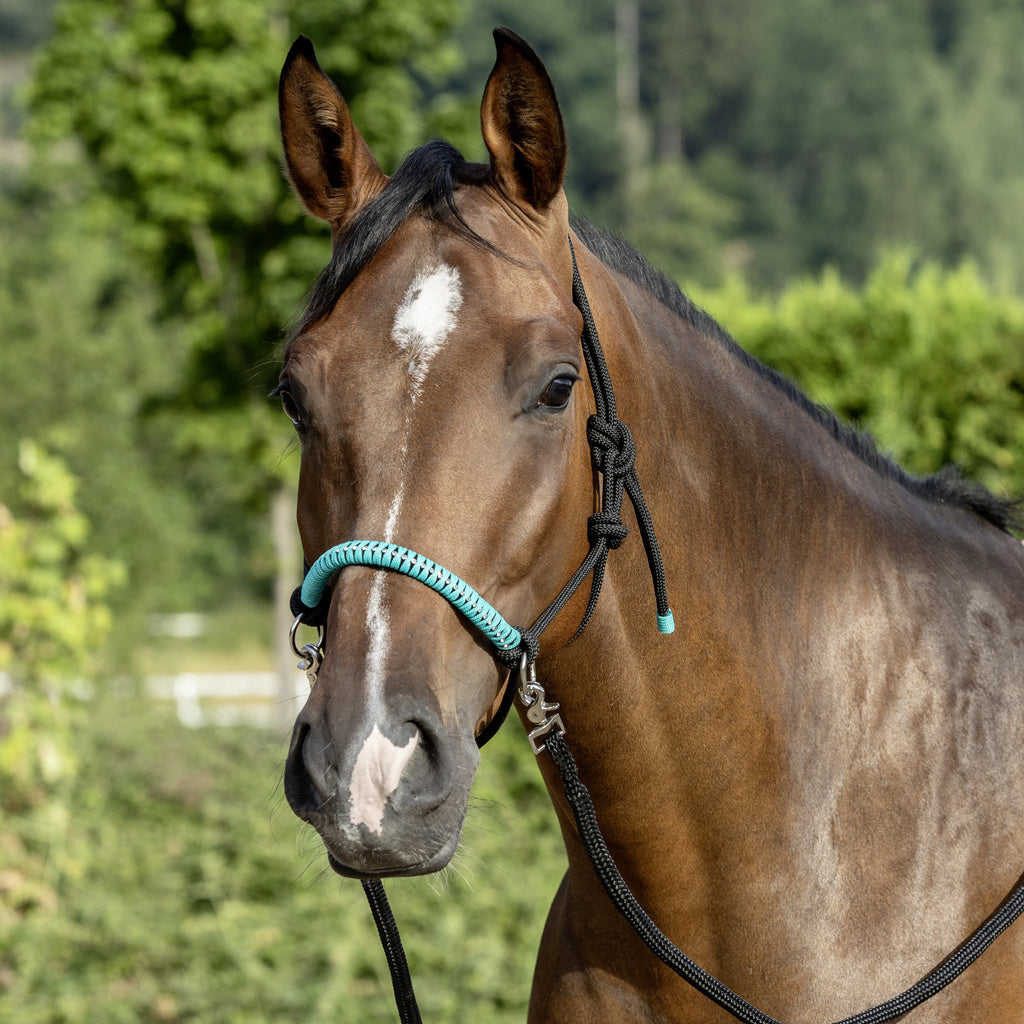 NEW - rope halter with reins - diamonds
