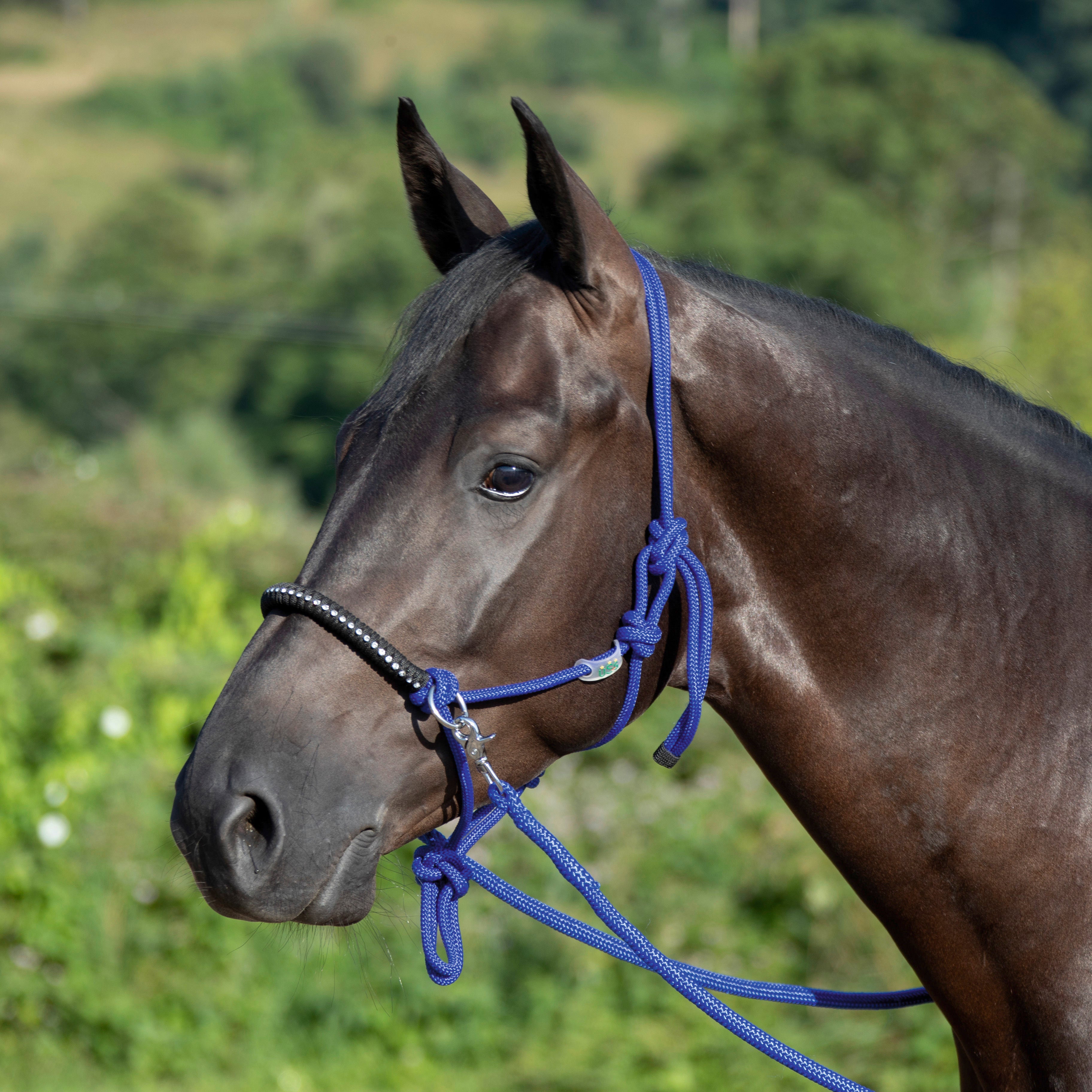NEW - rope halter with reins - diamonds