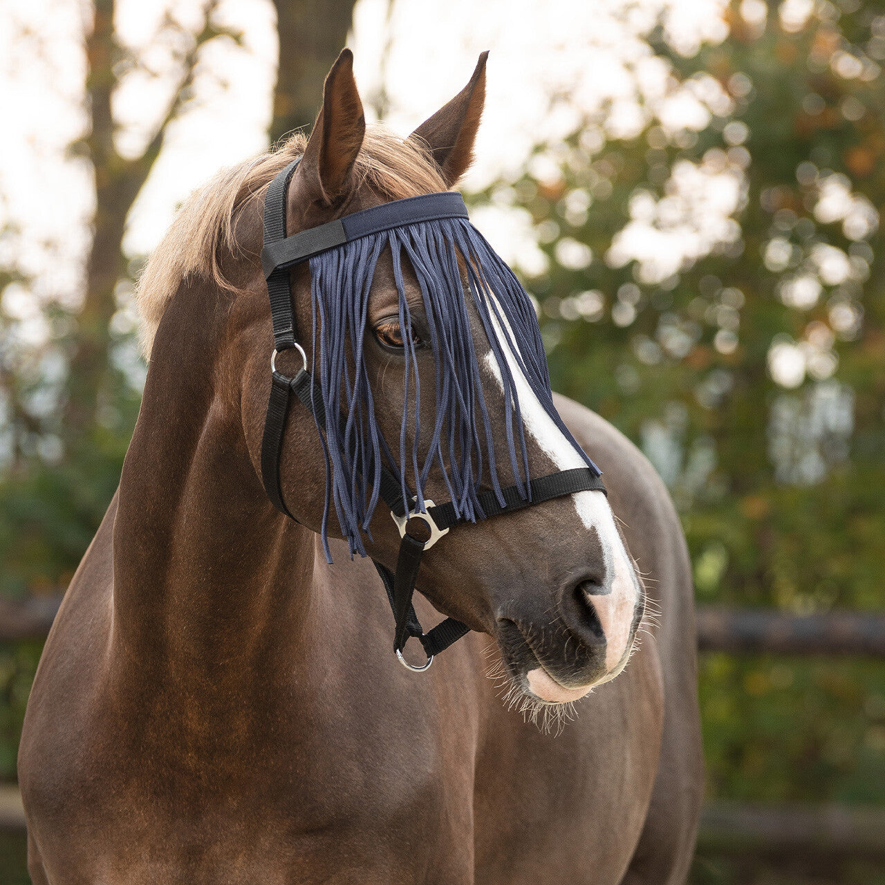 Anti-fly fringe