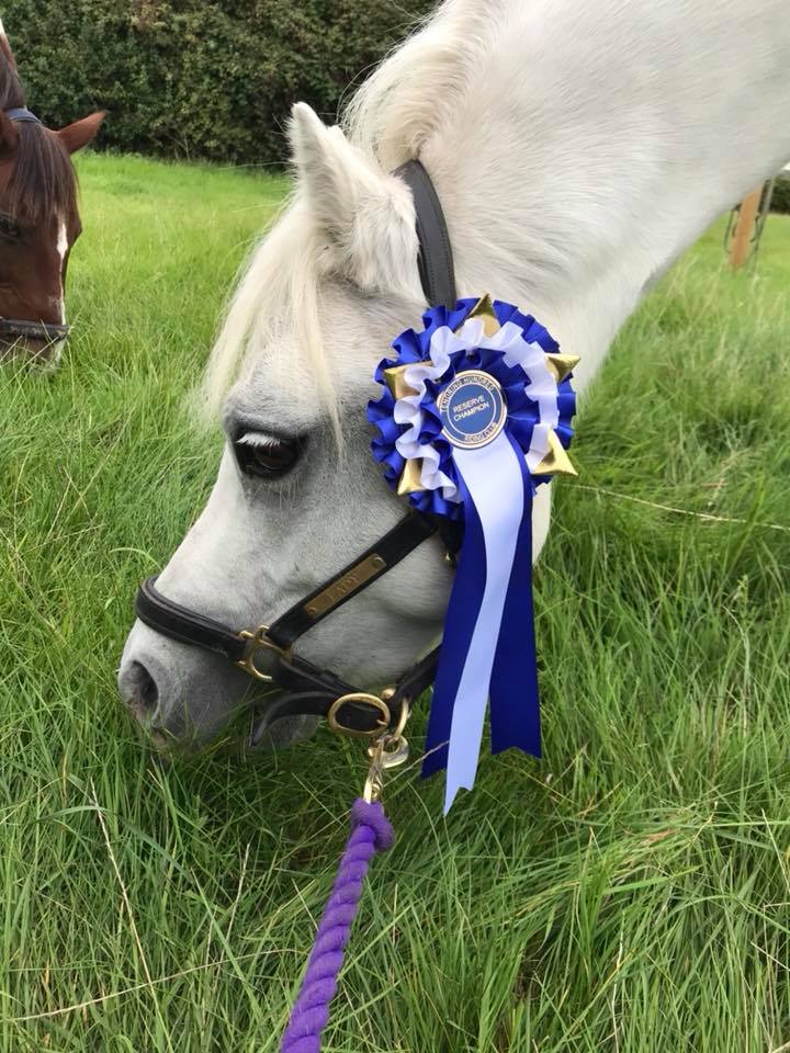 Beneficios de aprender a montar a caballo temprano