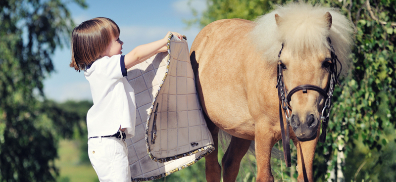 Young child stood next to a brown pony 