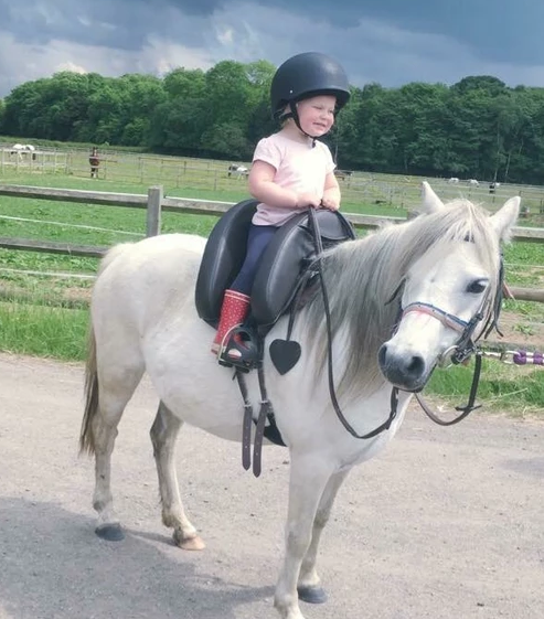 How To Introduce Your Child to Horses and Horse Riding