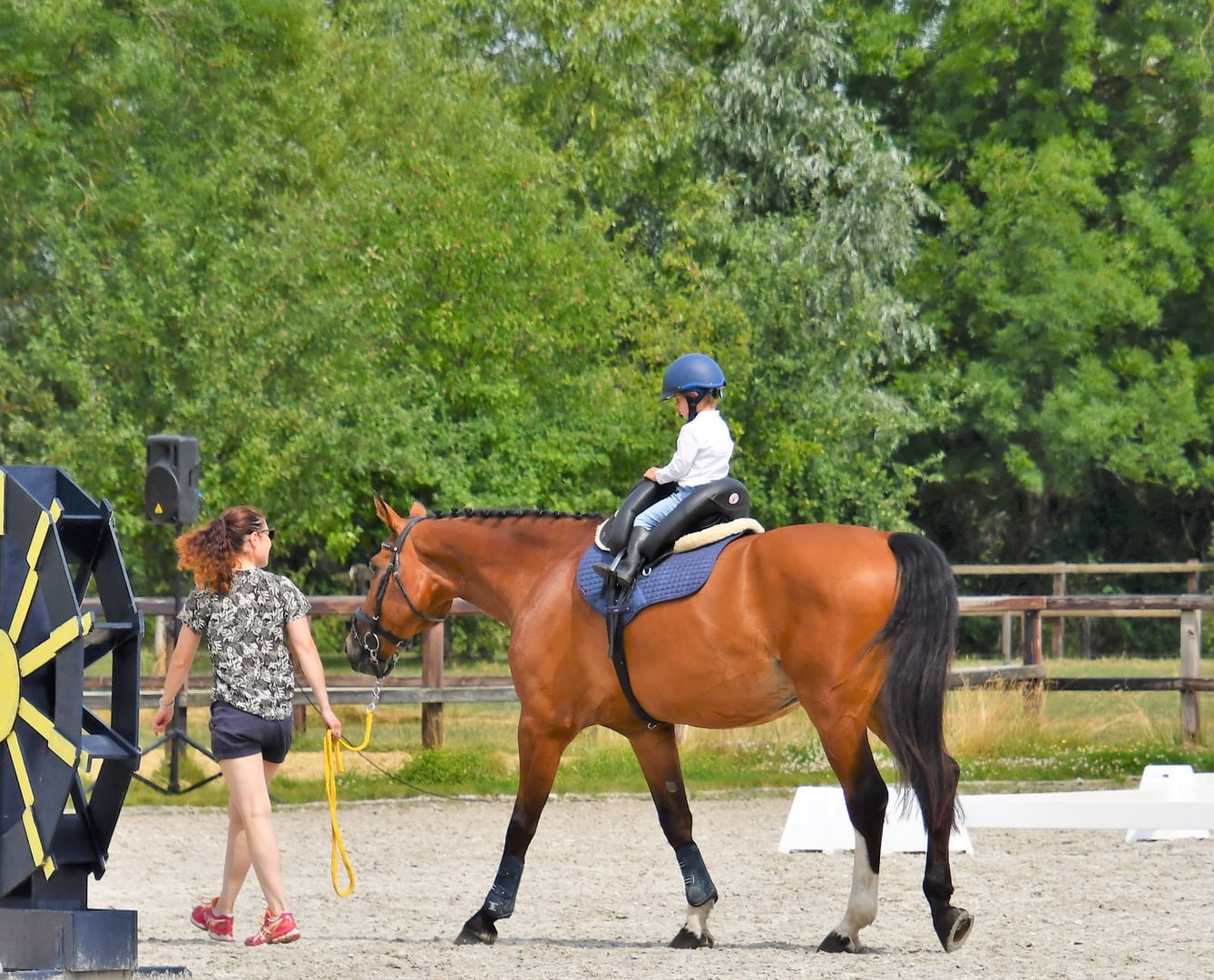 Horse Riding Lessons, 4 Leg Adventures, Kid's Horse Camps