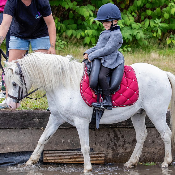 SYNTHETIC Inky Dinky Saddle® - Official