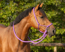 NEW - Rope halter with reins