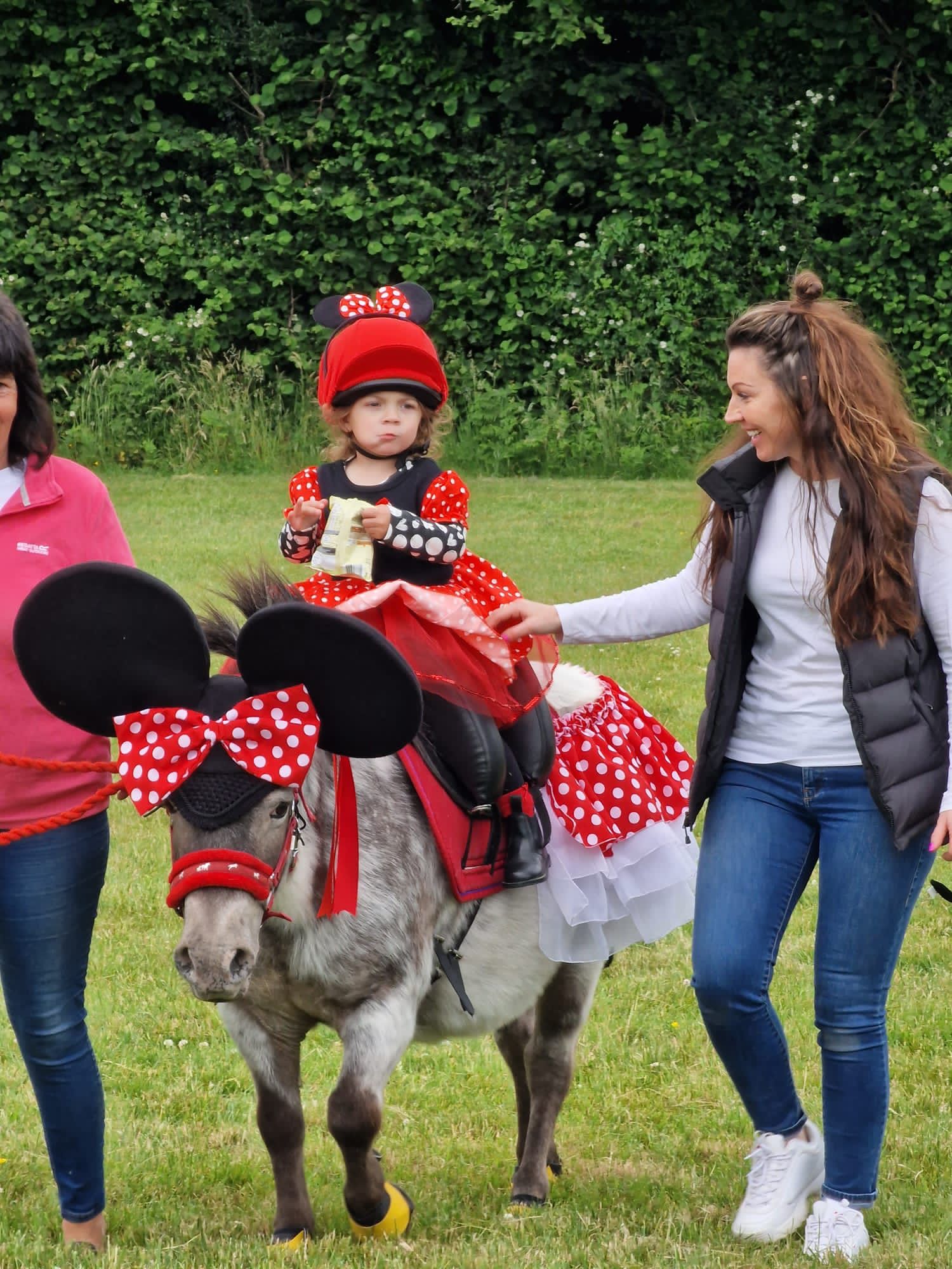 Our Gallery | Inky Dinky Saddles