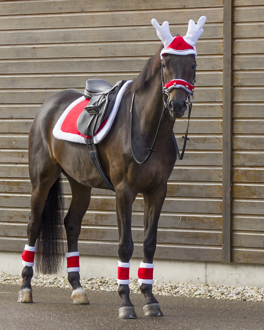 Christmas saddle pad