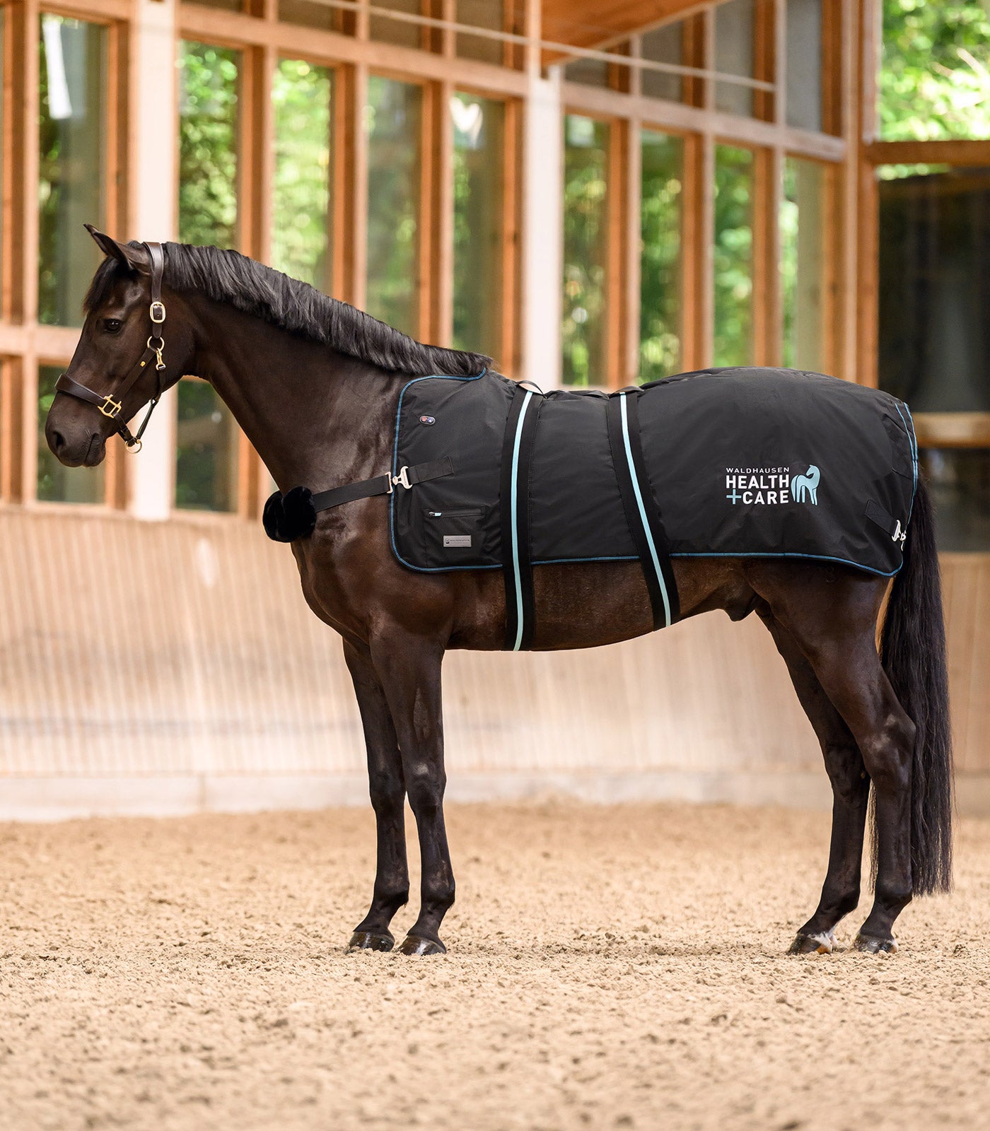 Waldhausen Health + Care TecSupreme heating and massage rug