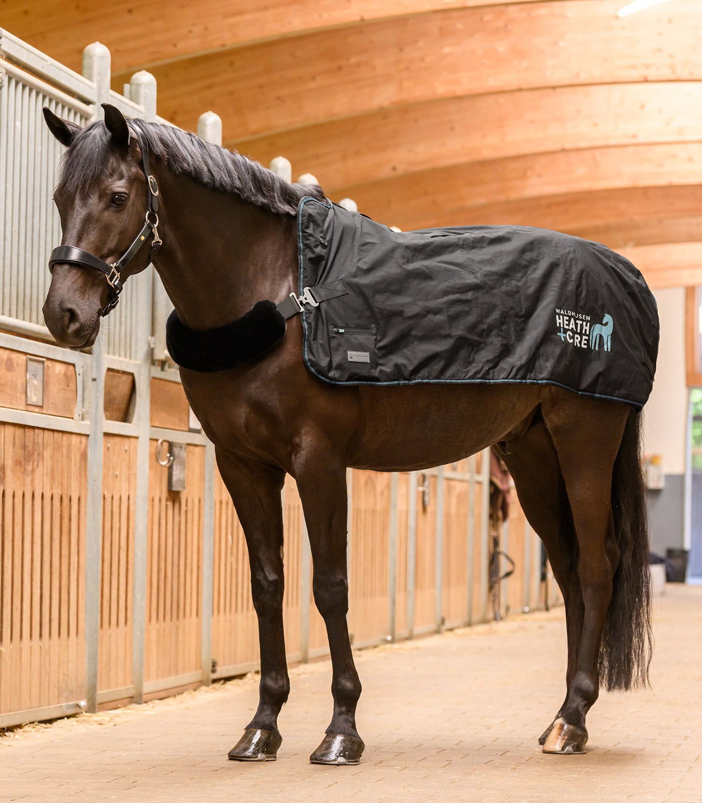 Waldhausen Health + Care TecSupreme heating and massage rug