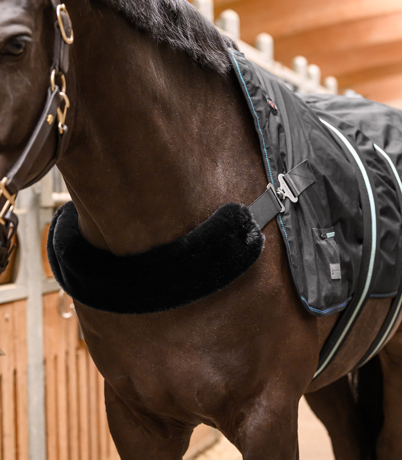 Waldhausen Health + Care TecSupreme heating and massage rug