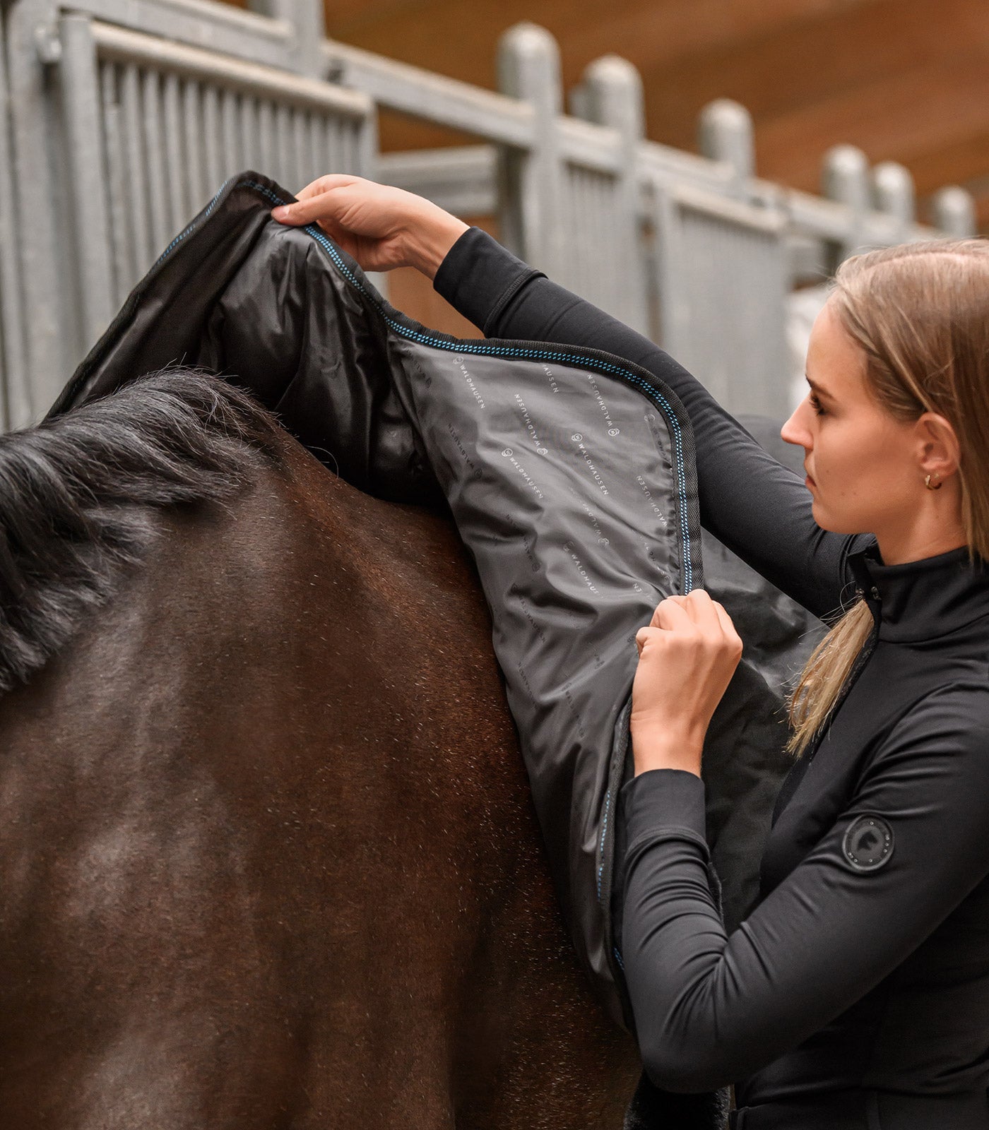 Waldhausen Health + Care TecSupreme heating and massage rug