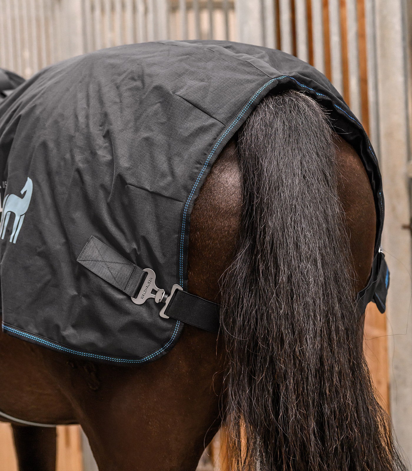 Waldhausen Health + Care TecSupreme heating and massage rug