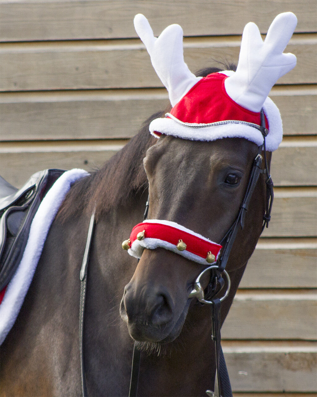 Reindeer hat Christmas