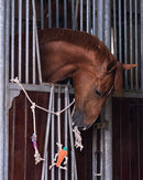 Spielzeugkistenaufhänger für Pferde