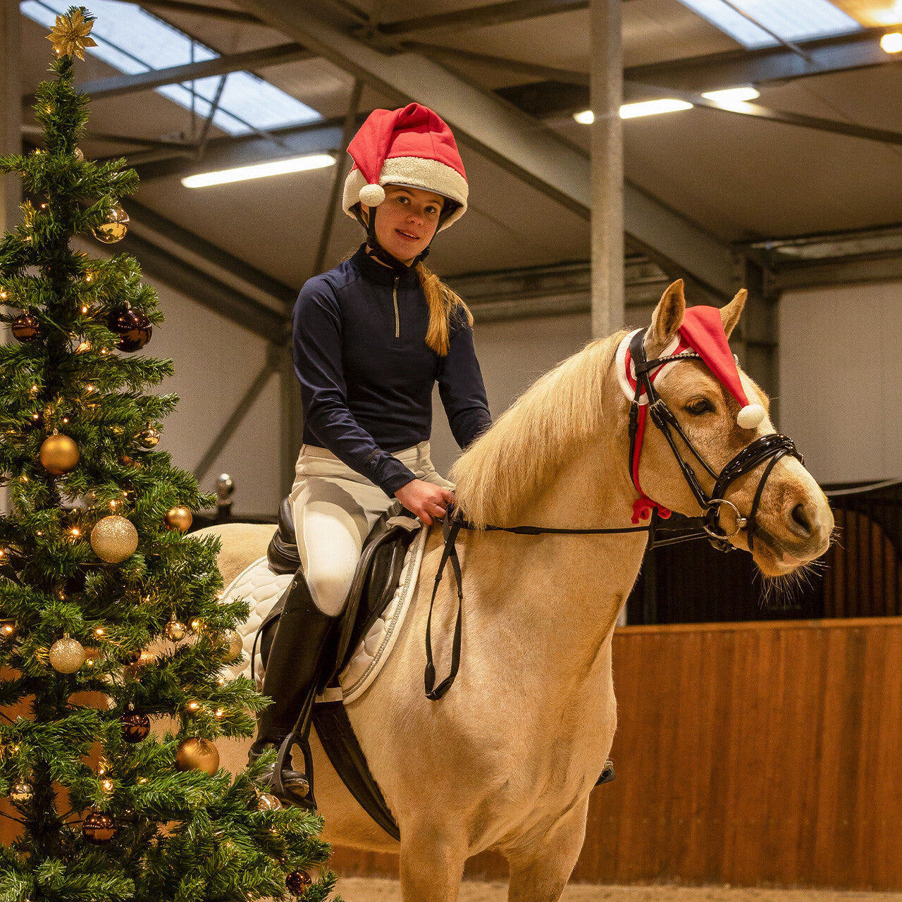 Christmas hat horse