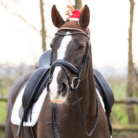 Christmas hat horse Antler