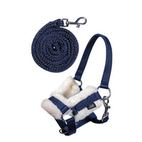 Head collar and lead rope -Hobby Horsing-