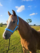 Nylon Head Collar - So Cute