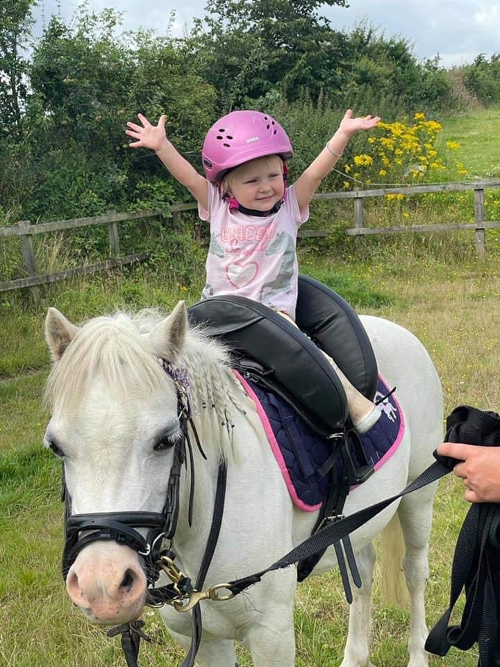 Our Gallery | Inky Dinky Saddles