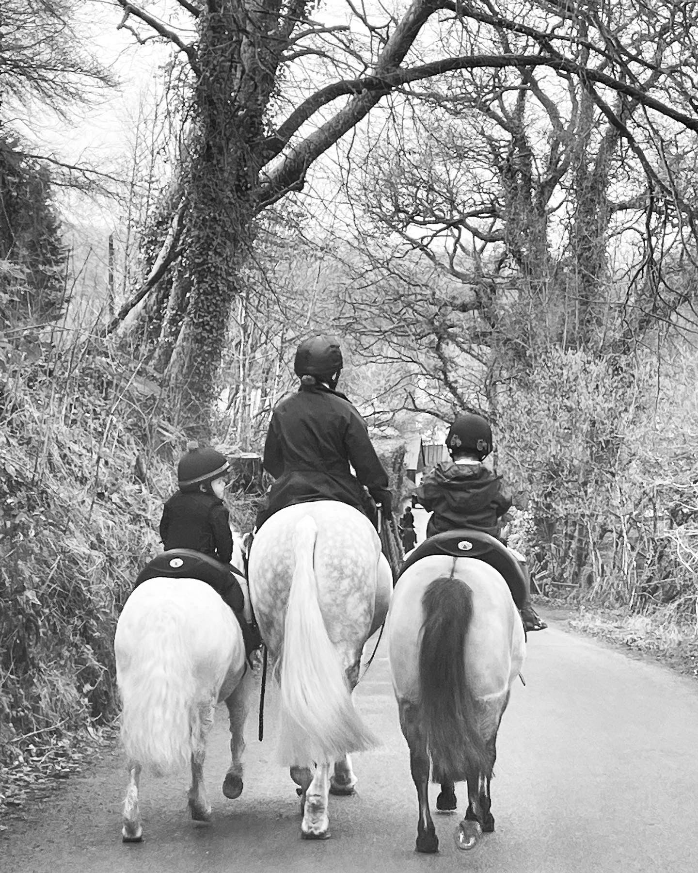 Our Gallery | Inky Dinky Saddles